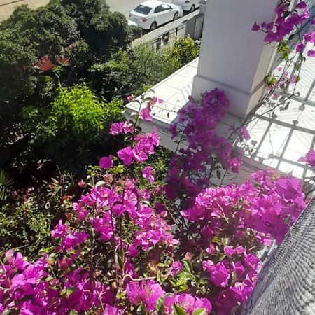 Blanca Rosa Valparaiso B&B Buitenkant foto