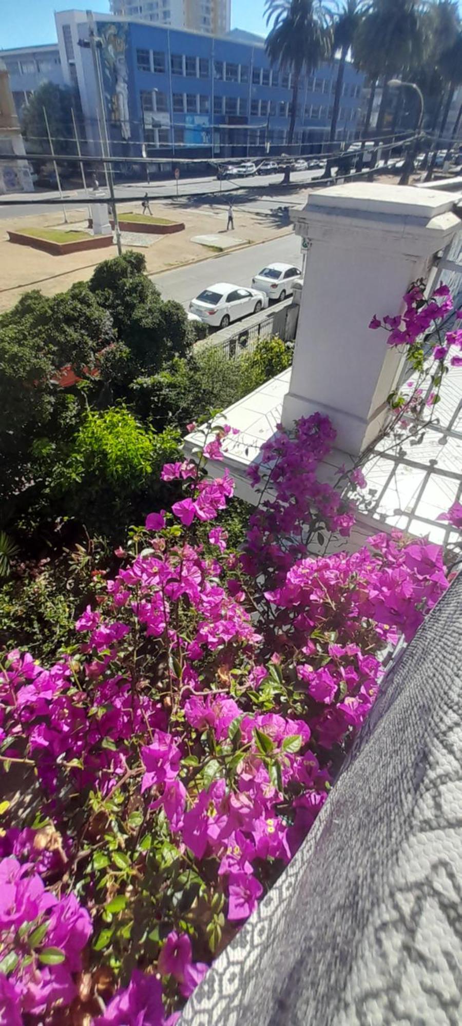 Blanca Rosa Valparaiso B&B Buitenkant foto